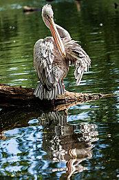 传闻：FromSoftware正在制作PS5独占游戏 不是《血源》续集